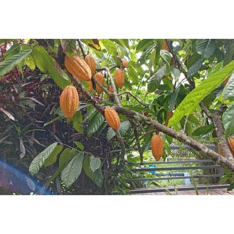 Farm Image