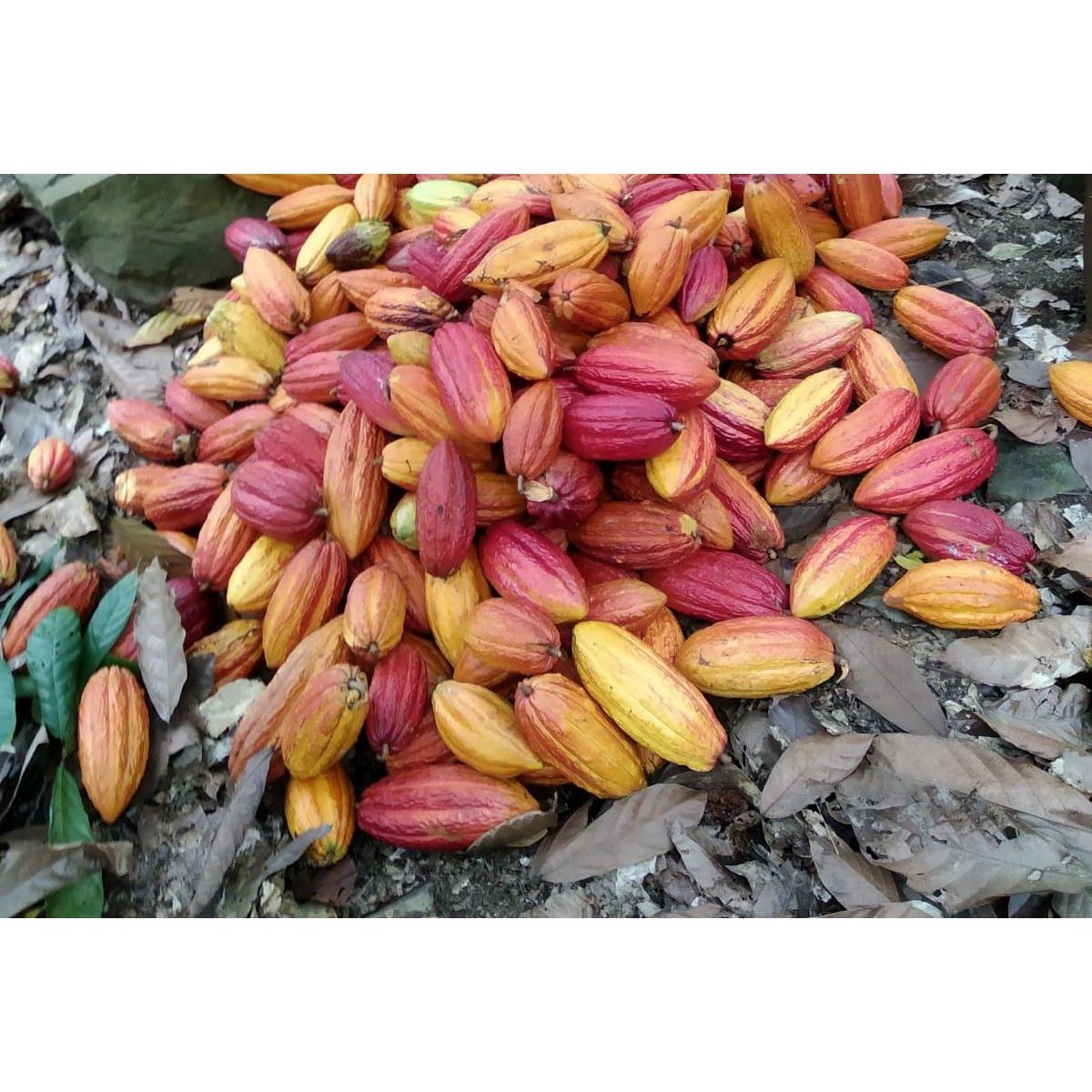 Farm Image